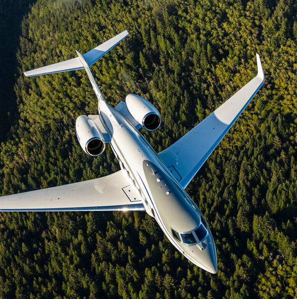 An overhead view of a Gulfstream aircraft flying over a green forest in bright sunlight.